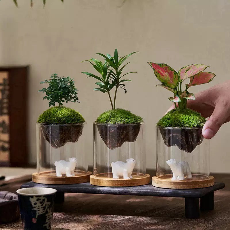 Floating Planter