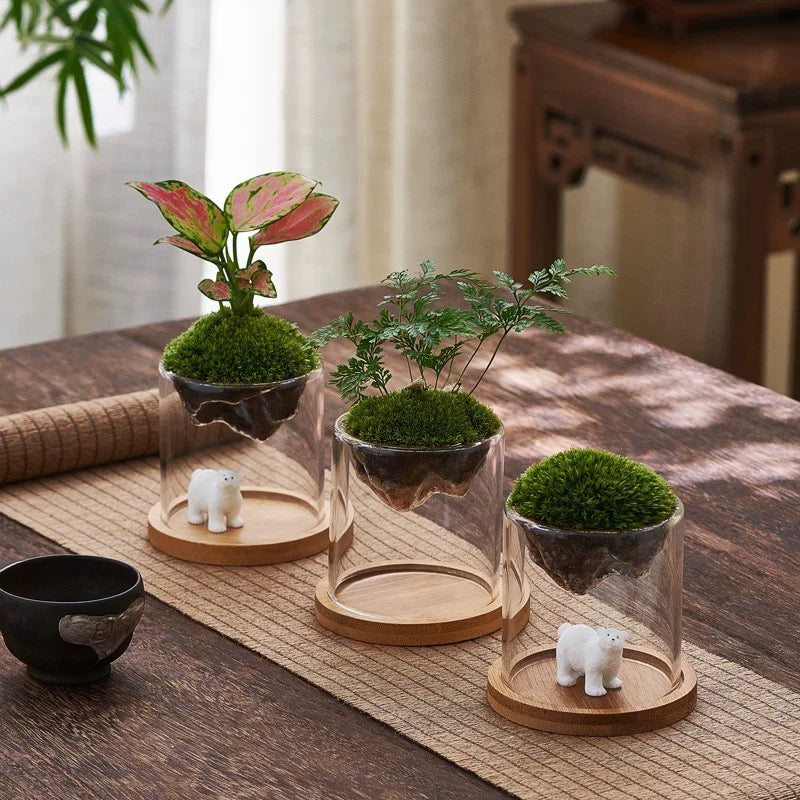 Floating Planter