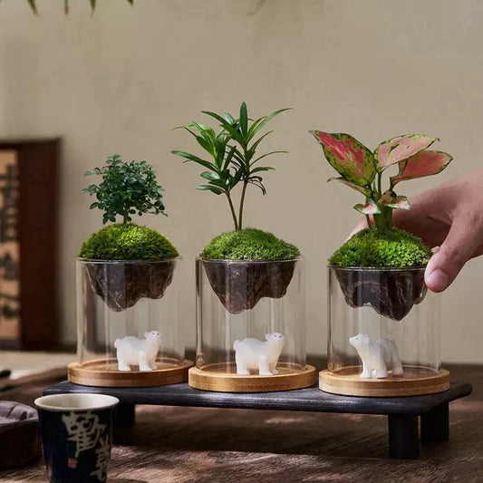 Floating Planter