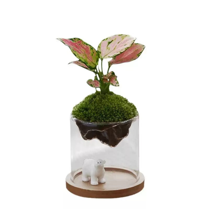 Floating Planter